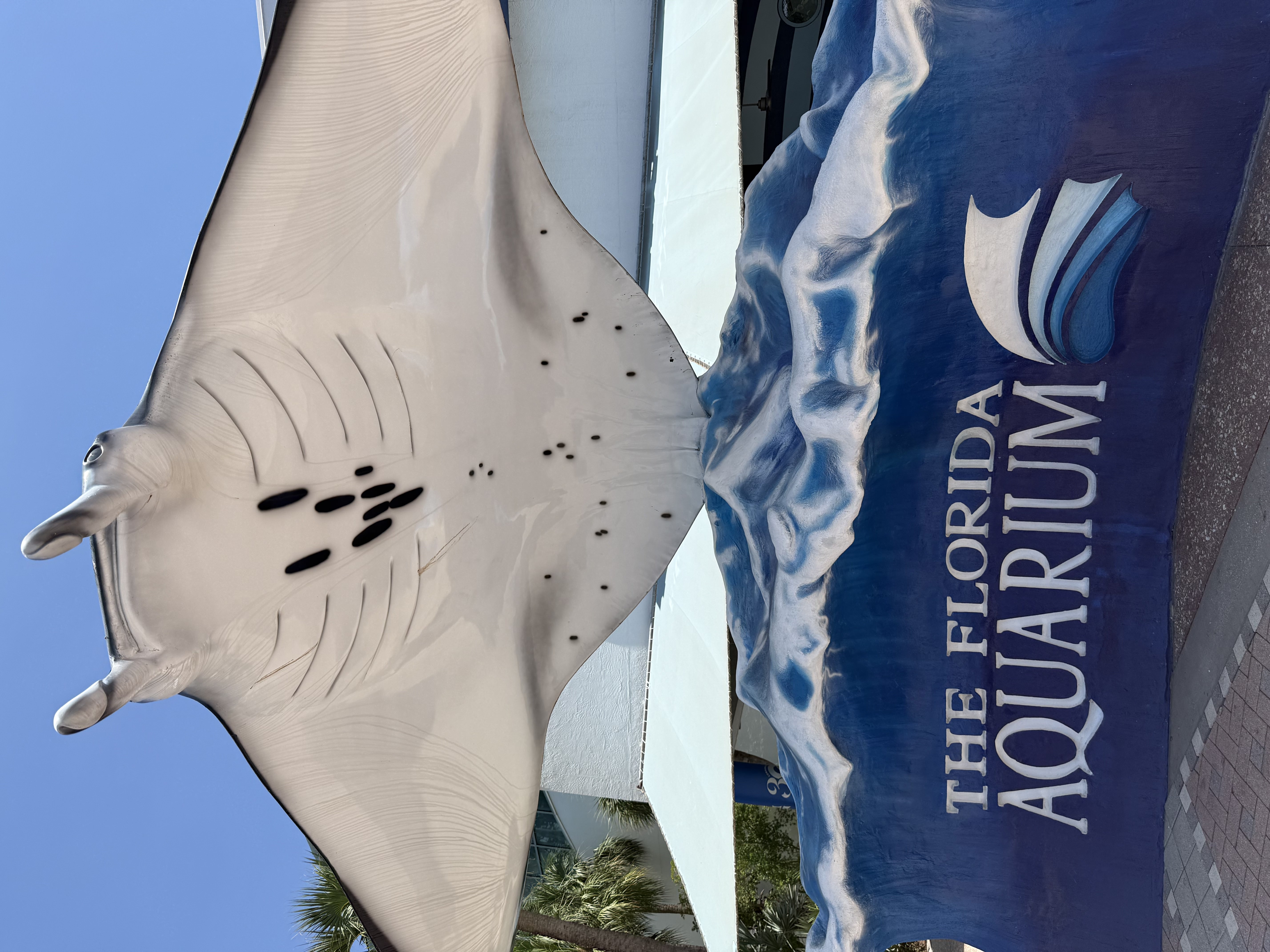 aquarium2