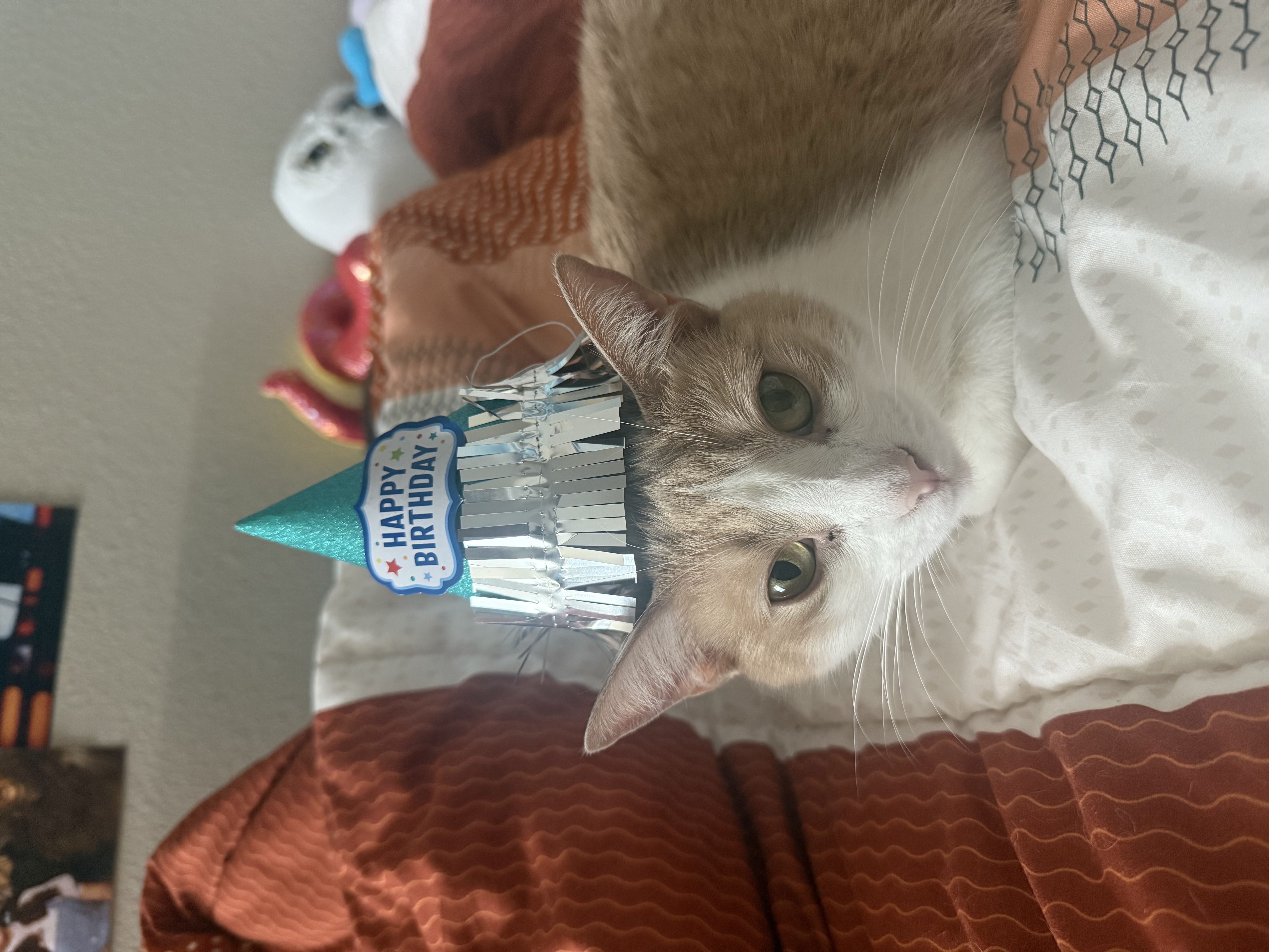 peanut1